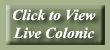 <Video></Video>