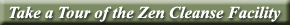 Play ZenCleanse Video